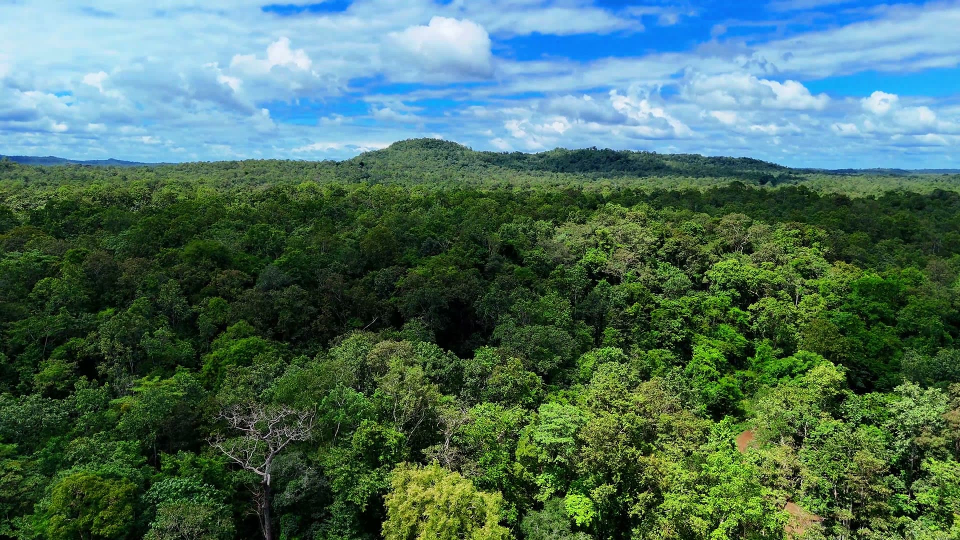 Vue aérienne de la nature qui entoure le domaine
