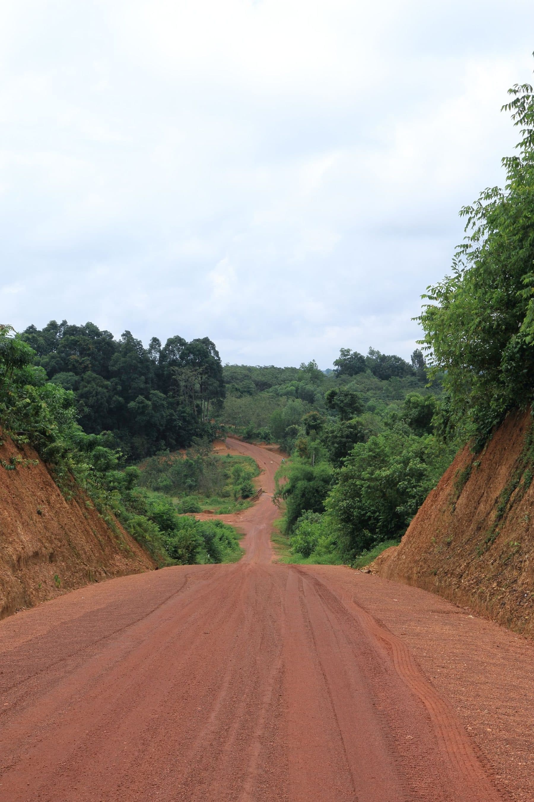 Une route de latérite rouge entre deux talus, dans la végétation